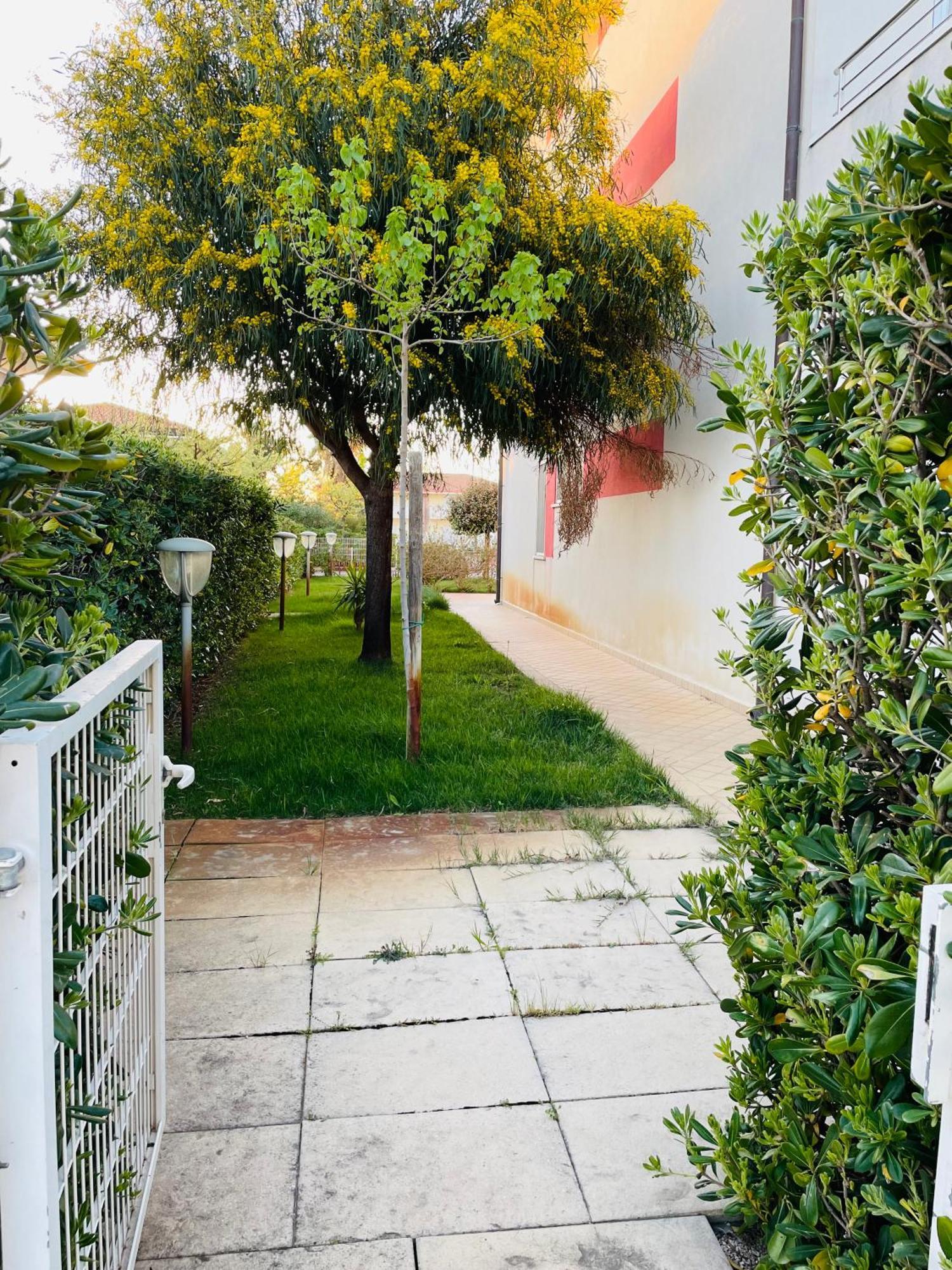 Garden-marina Sveva Apartment *